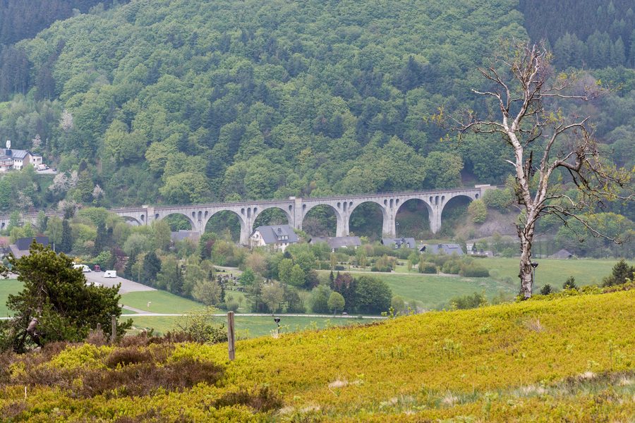 Blick vom Ettelsberg auf das Viadukt in Willingen (Upland)
