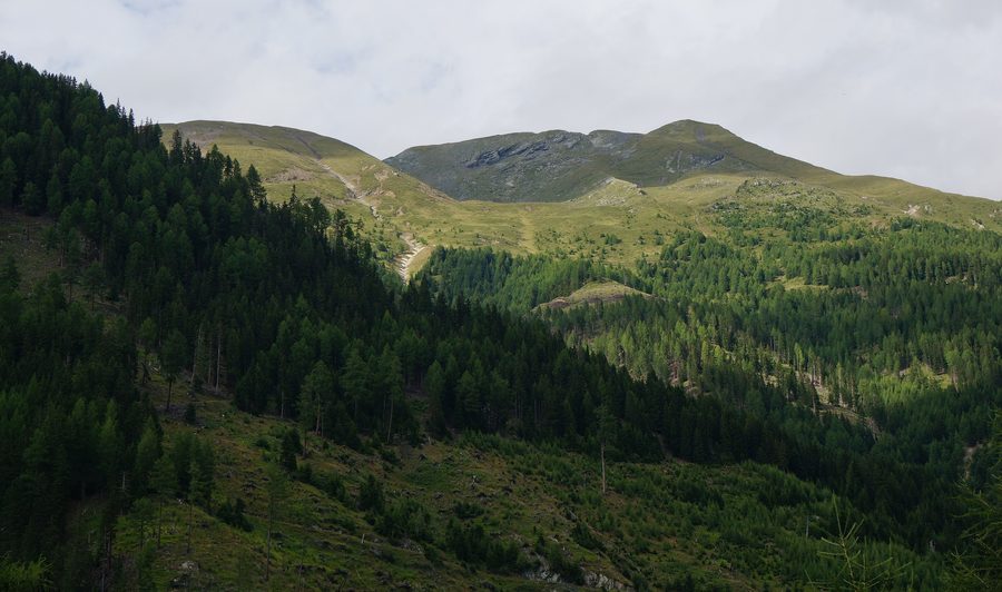 Kaponigalm im Nationalpark Hohe Tauern in der Gemeinde Obervellach, Kärnten