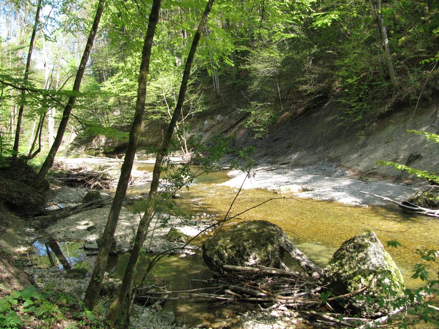 Geschütztes Gebiet Eistobel bei Maierhöfen und Grünenbach