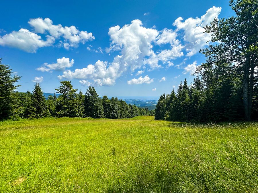 Skigebiet Sveti Trije Kralji im Sommer im Pohorje