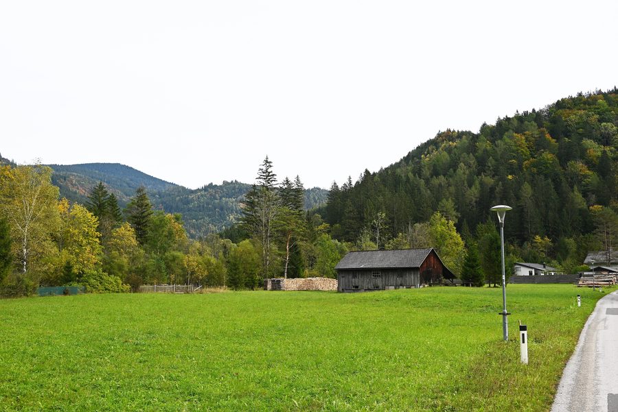Erlaufboden im südöstlichen Teil