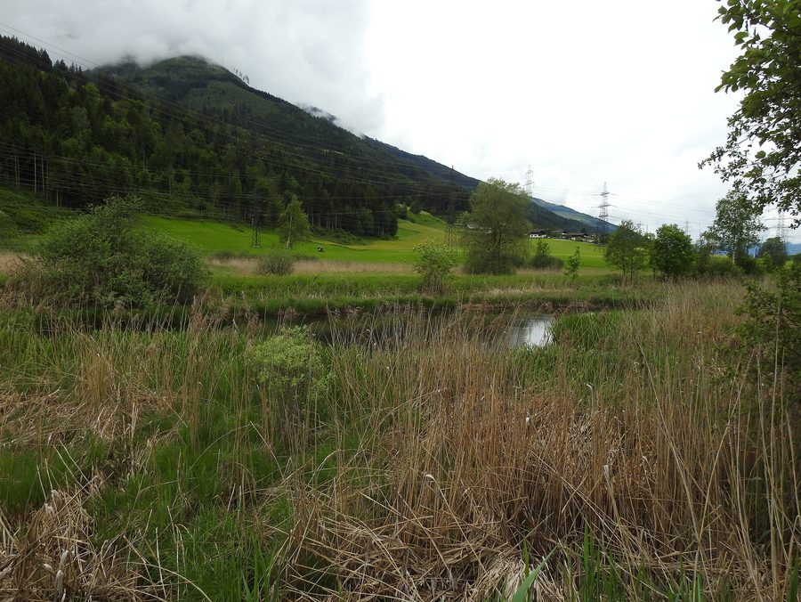 Geschützter Landschaftsteil Lucia Lacke in Niedernsill im Land Salzburg