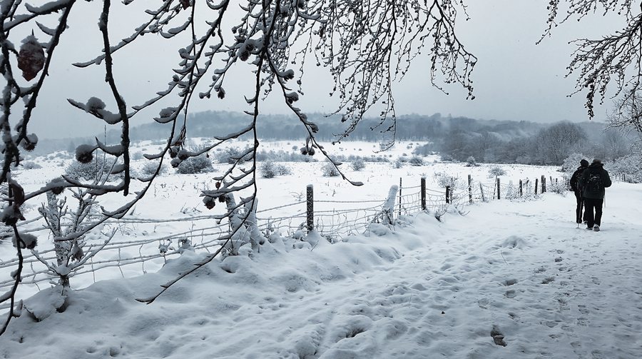 File:Winterwanderung im Naturpark Habichtswald.jpg