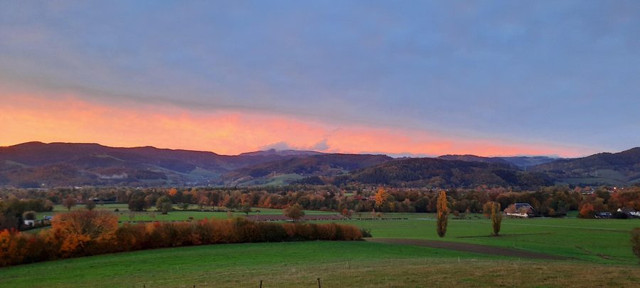 Blick vom Giersberg über Kirchzarten ins Dreisamtal