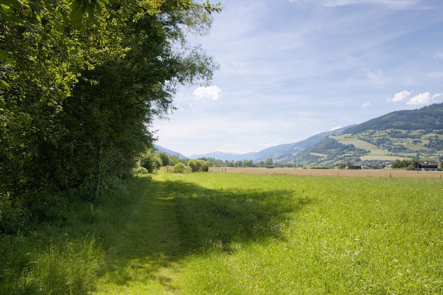 Fußweg entlang der Salzach im Ortschaftsgebiet von Walchen