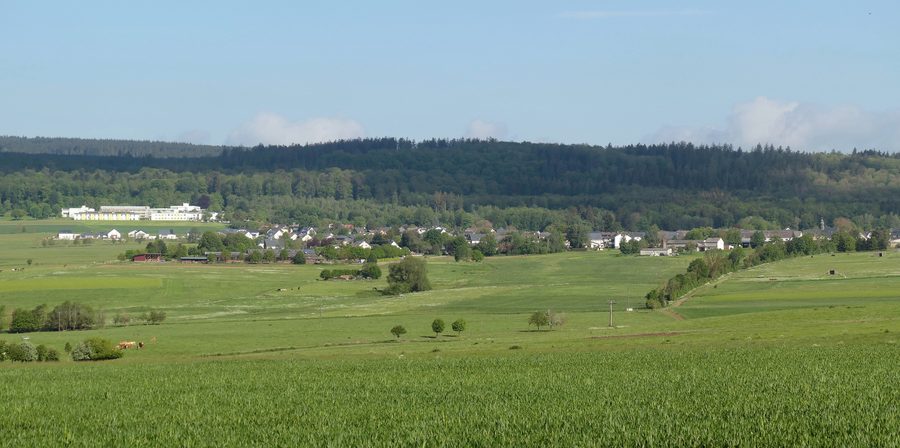 Bruchweiler von Südosten mit dem FFH-Gebiet Idarwald im Hintergrund