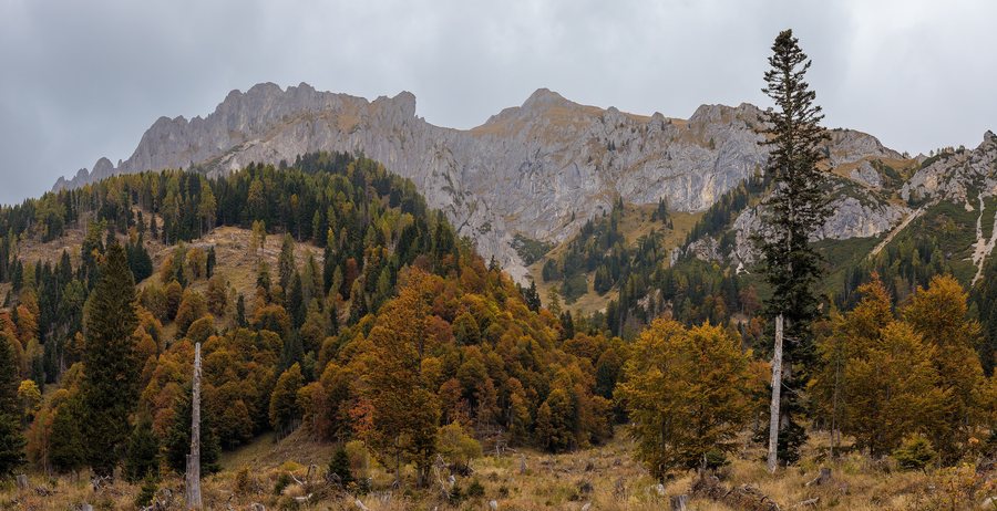 File:Walls of Creta di Mimoias at Prato Carnico, Udine, Friuli-Venezia Giulia, Italy, 2025 October.jpg