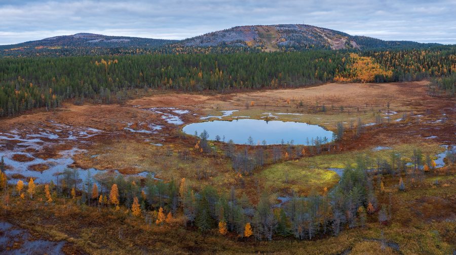 Moorlandschaft mit Teichen nahe Ruuhijoki und Sallatunturi in Salla, Lappland