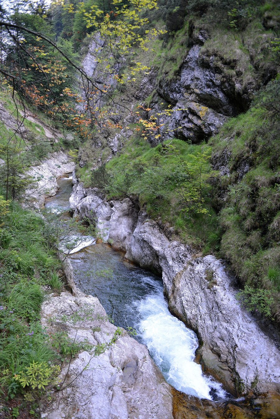 Weißbachschlucht mit Felswänden und fließendem Wasser bei Schneizlreuth