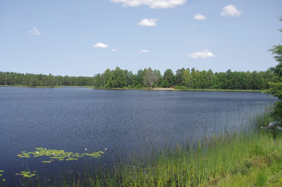 Kroksjön nördlich von Hestra in der schwedischen Gemeinde Gislaved