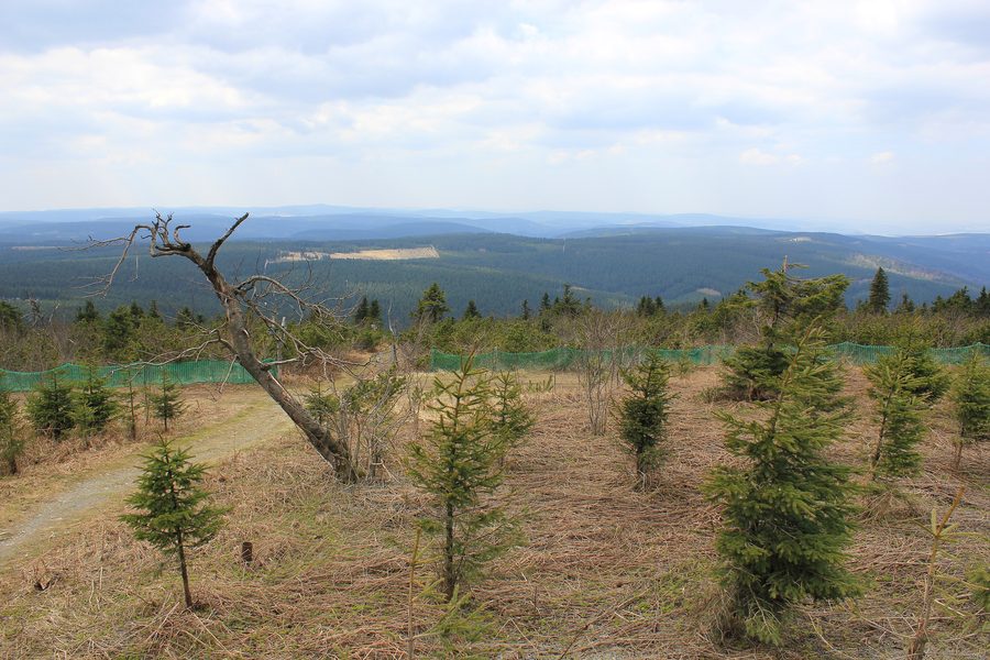 Blick auf den Fichtelberg bei Oberwiesenthal in Sachsen