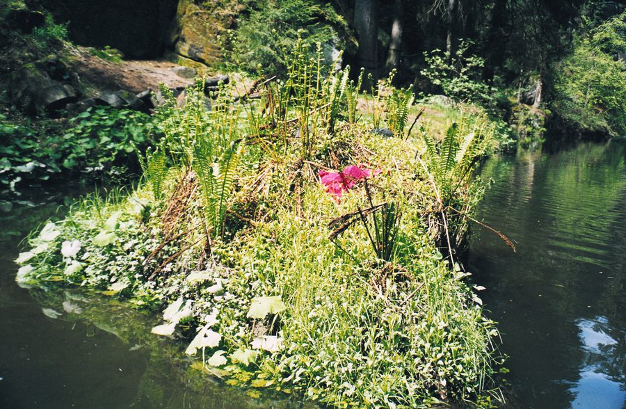 Obere Schleuse im Kirnitzschtal bei Hinterhermsdorf