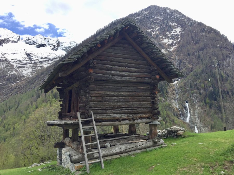 File:Torba di Sartüü località Piano Campo Vallemaggia.jpg