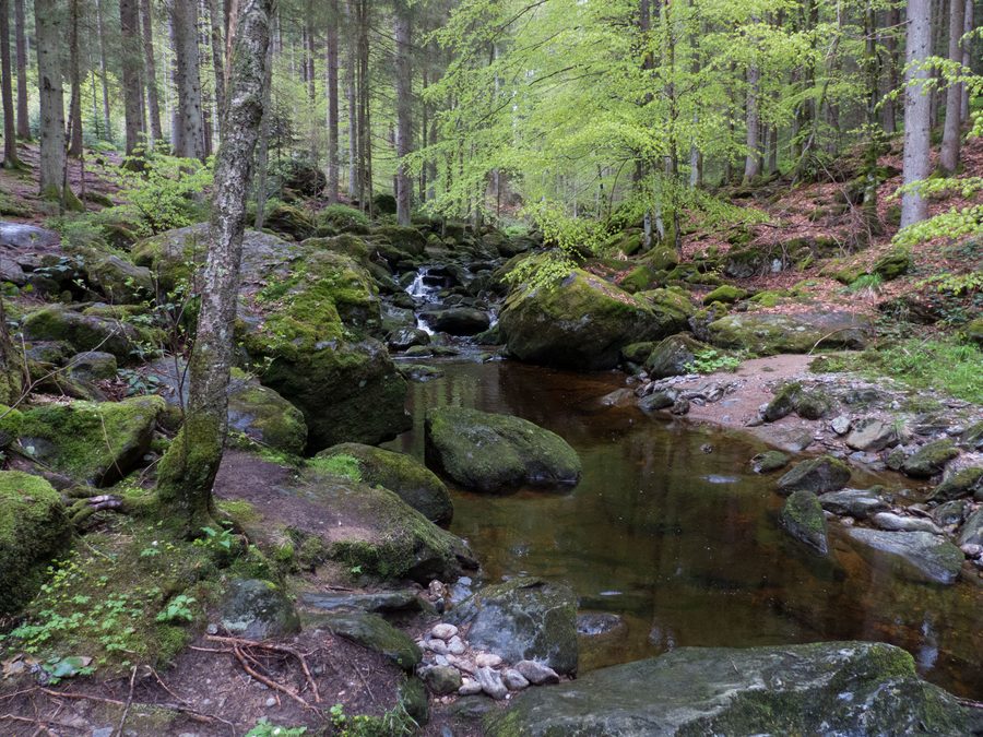 Steinklamm bei Spiegelau im Bayerischen Wald
