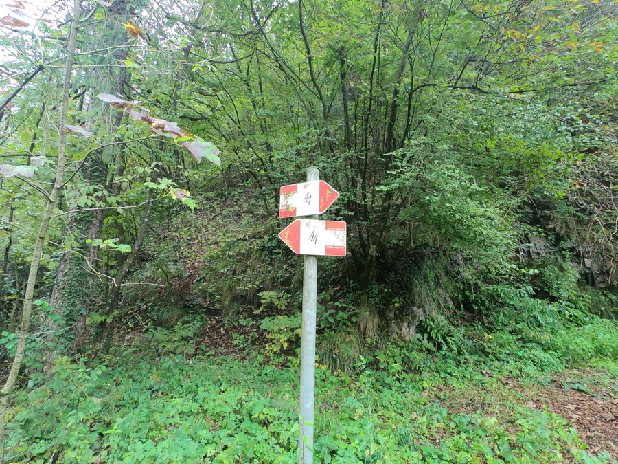 File:20230916-explo selvino-007.jpg