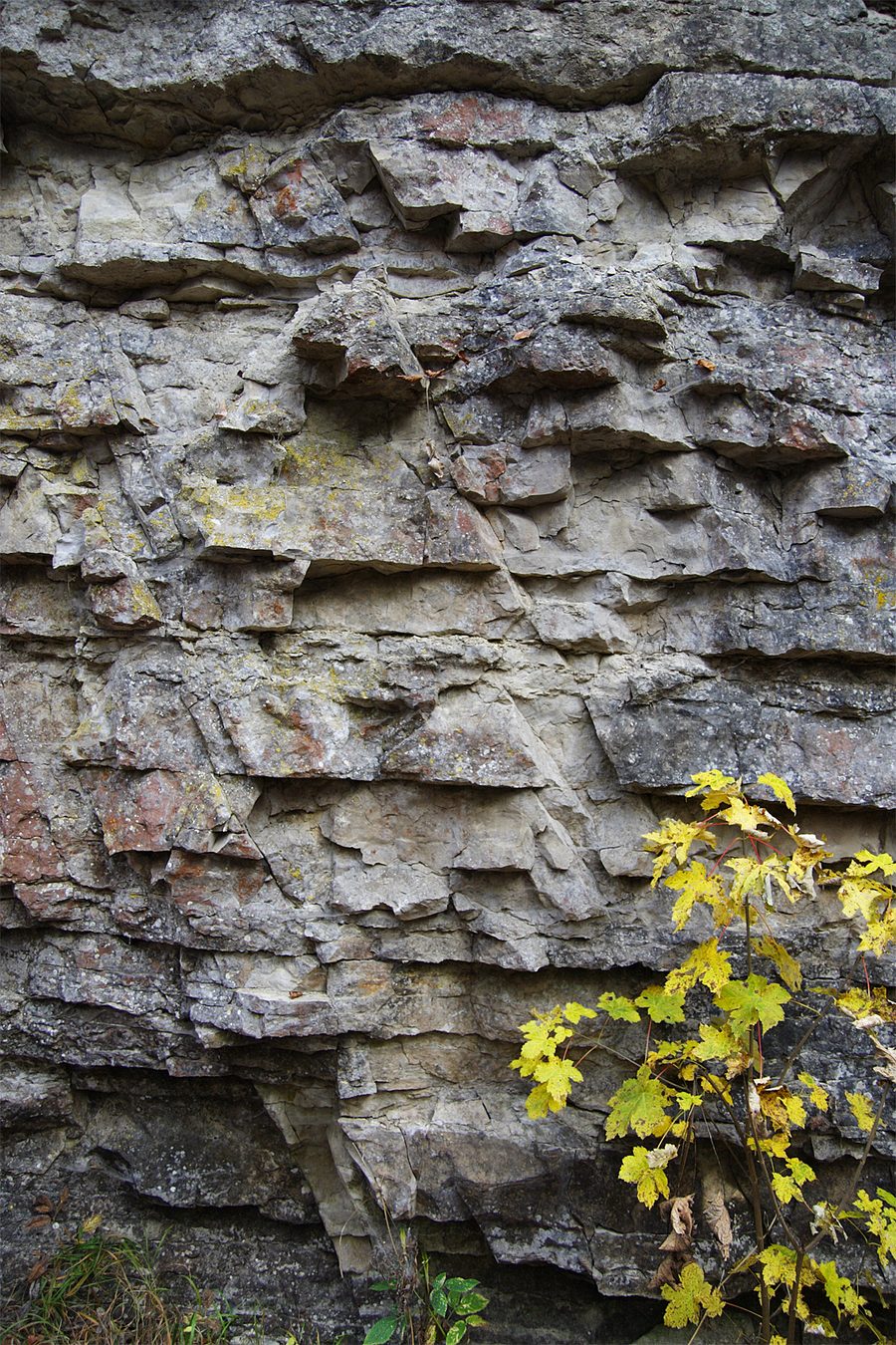 Felswand in der Wutachschlucht im Schwarzwald