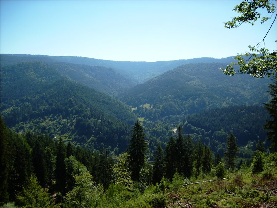 Blick ins Sasbachtal bei Forbach im Murgtal des Nordschwarzwalds