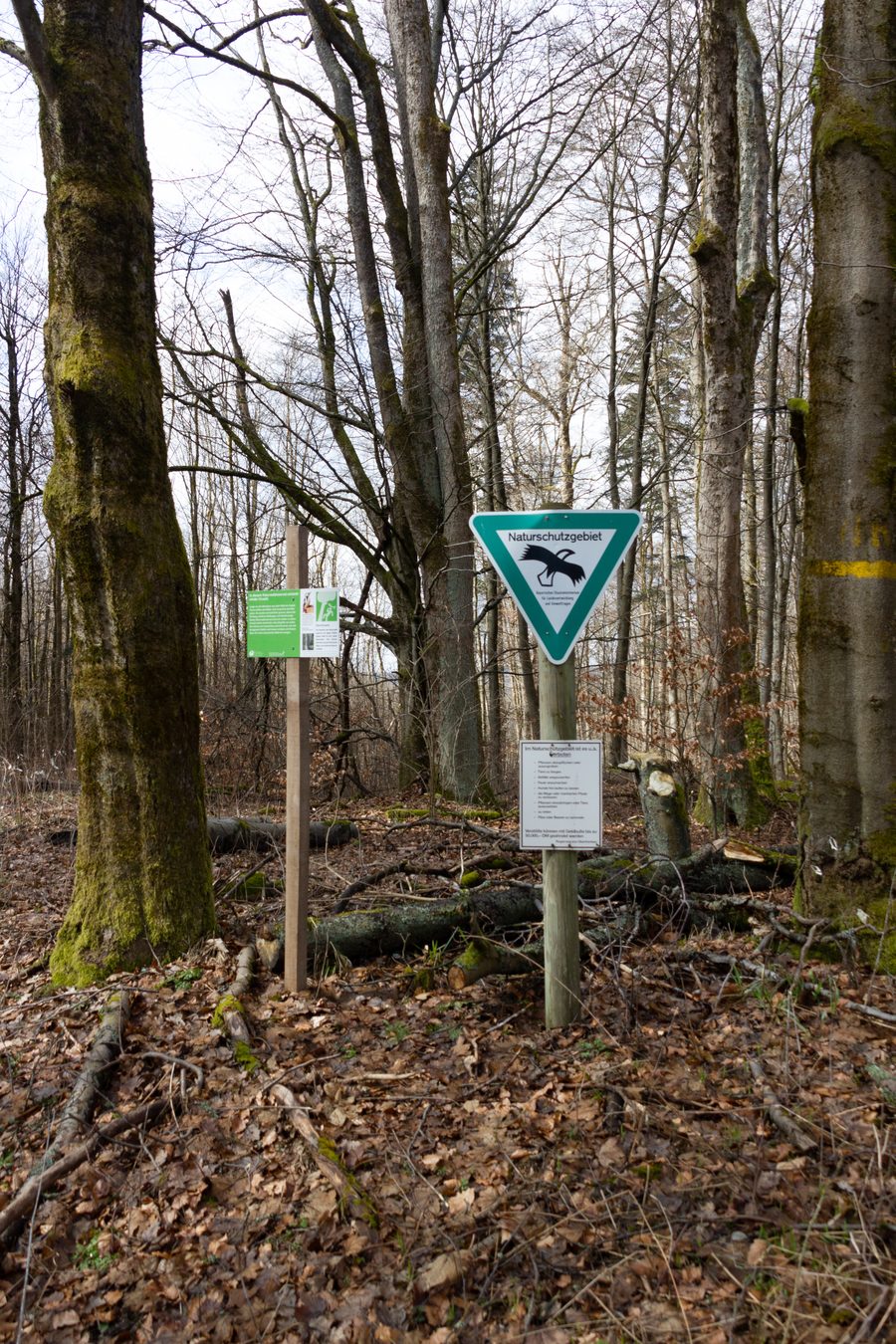 Naturschutzgebiet Schmidtsberg in der Landschaft des Frankenwalds