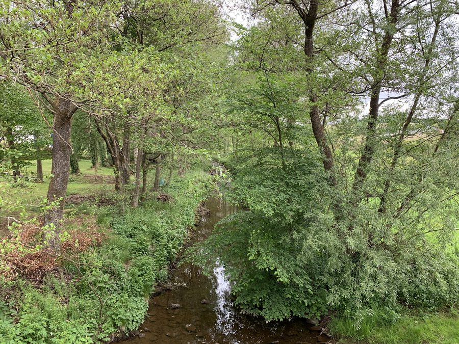 Blick auf die Kyll in Dahlem-Frauenkron