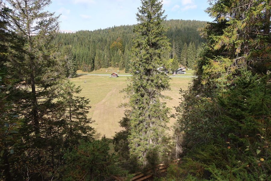 Blick auf den leeren Wildmoossee im Wildmoos bei Telfs