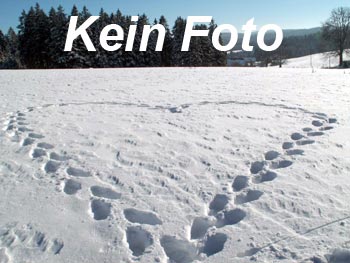 Bergpanorama in Südtirol