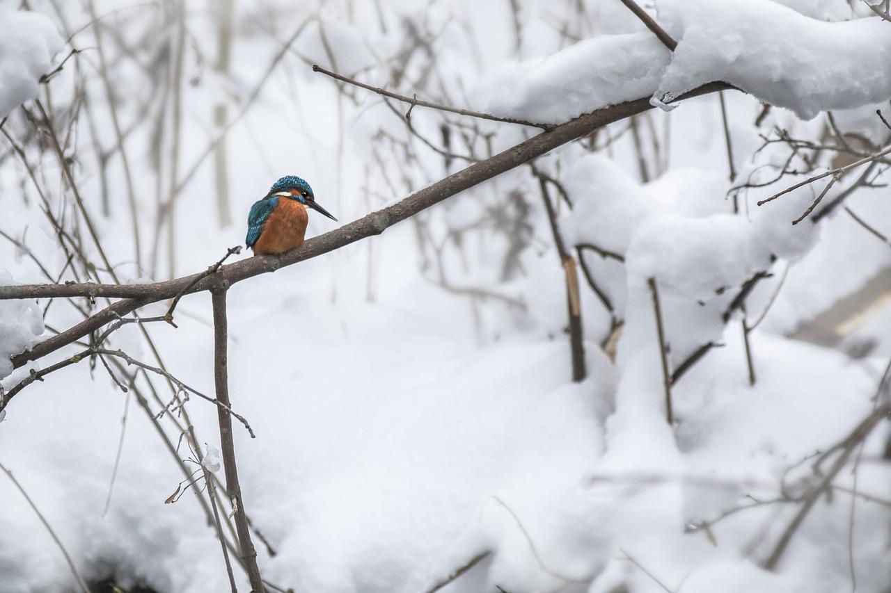 Winter in Estland