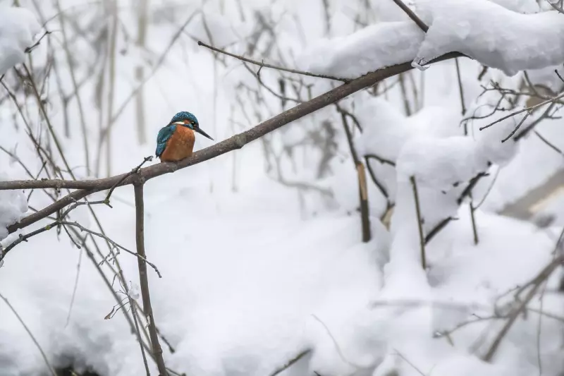 Winter in Estland