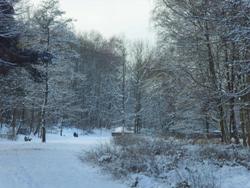 Winter in Schweden