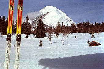 seefeld