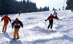 Skifahrer: Wintersport-Arena Sauerland