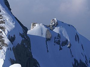 toggenburg