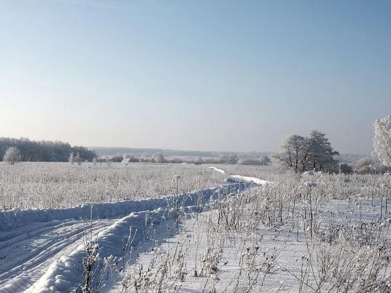 Verschneite Winterlandschaft als Symbol für die Reisezeit im Skiurlaub