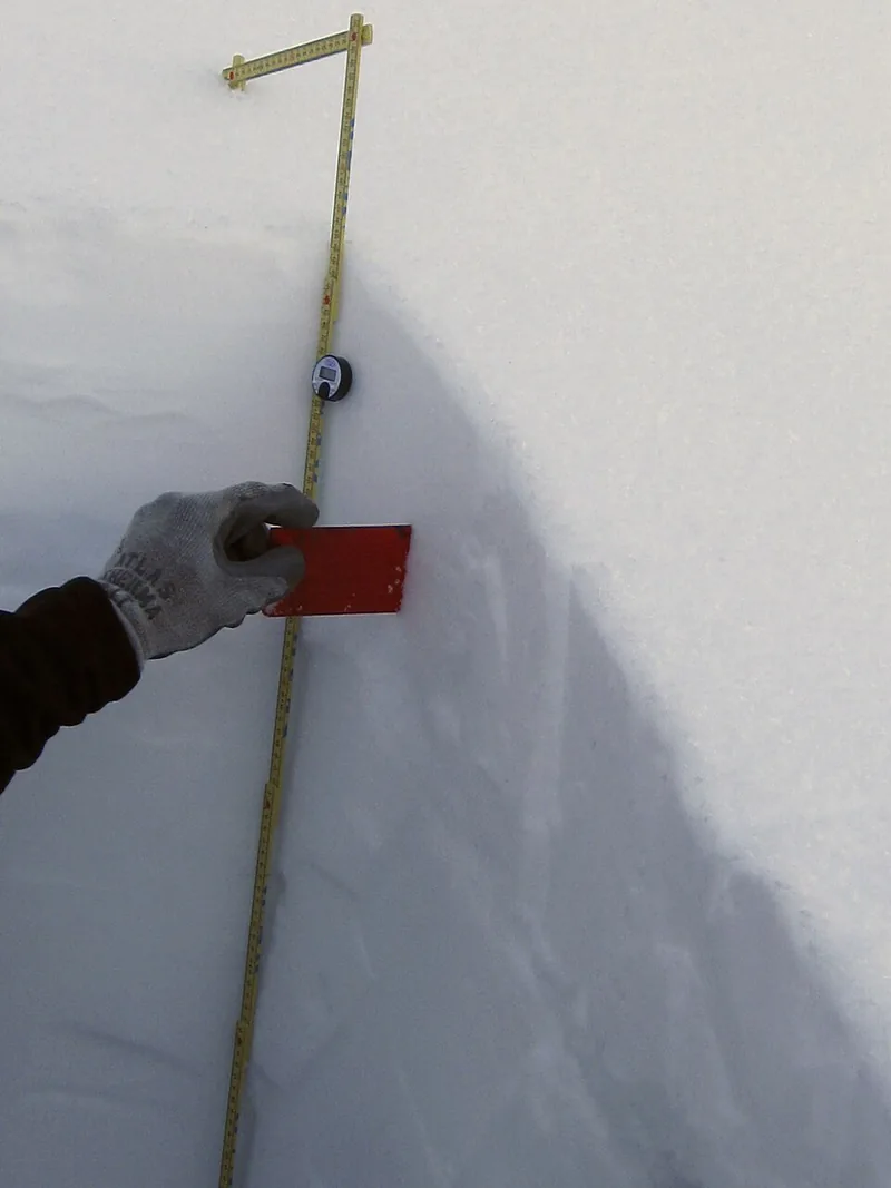 Schneeschichten werden in einem Schneeprofil untersucht